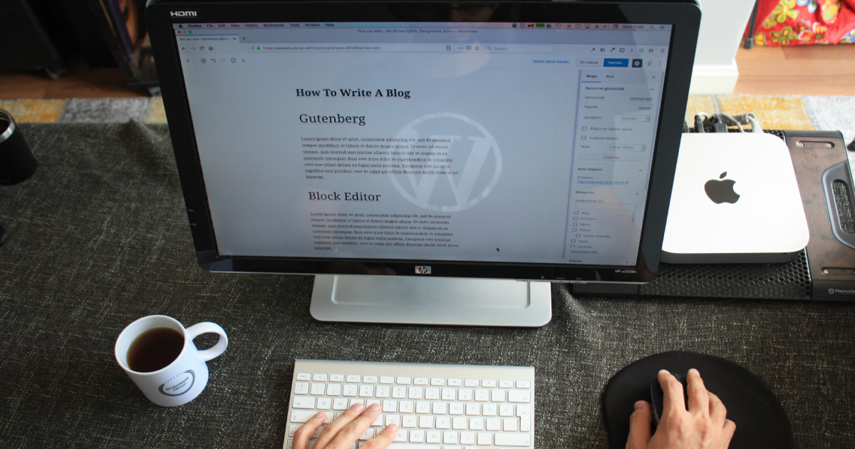 Professional WordPress blogger