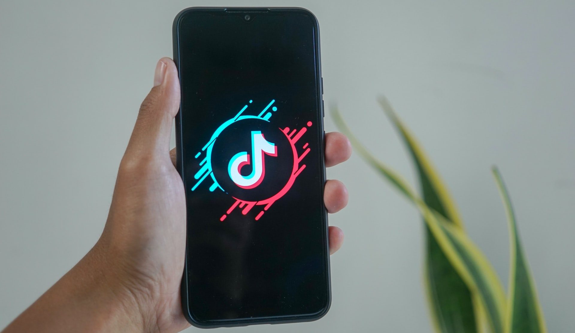 TikTok icon