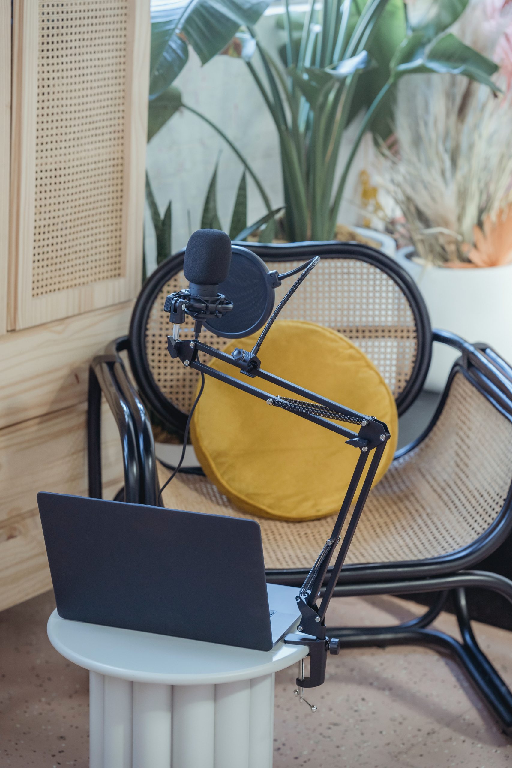 Define Your Podcast's Niche and Purpose